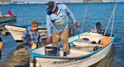 Guaymas y Empalme: Ribereños se mantienen en la captura de escama con pocos apoyos