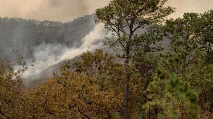Incendios Forestales: El Estado de México combate otro siniestro en Temascaltepec