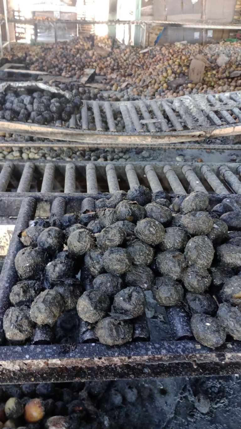 Incendio en Guaymas moviliza a las autoridades. Foto: Cortesía