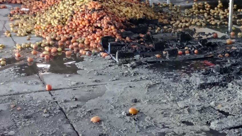 Alerta: Fuerte incendio en campo agrícola moviliza a las autoridades de Sonora