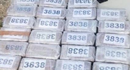 Decomisan 25 kilos de cocaína en autobús con adhesivos del INM en Mexicali