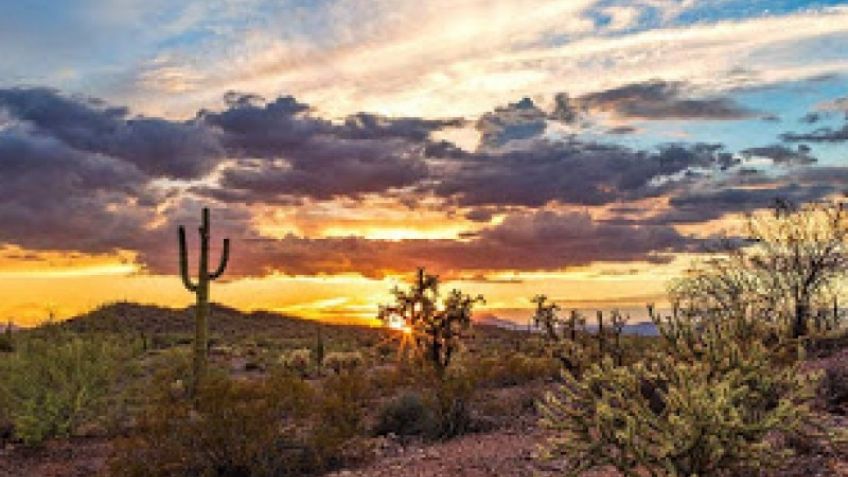 ¡Precaución! Tercera onda de calor afectará Sonora este último fin de semana de mayo: Conagua