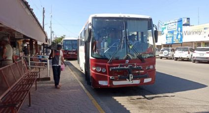 Vecinos piden ruta de Transporte Público en Navojoa, Sonora