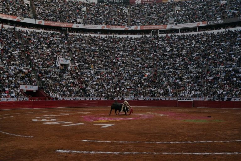 Plaza México continuará con corridas de toros; jueza niega suspensión definitiva