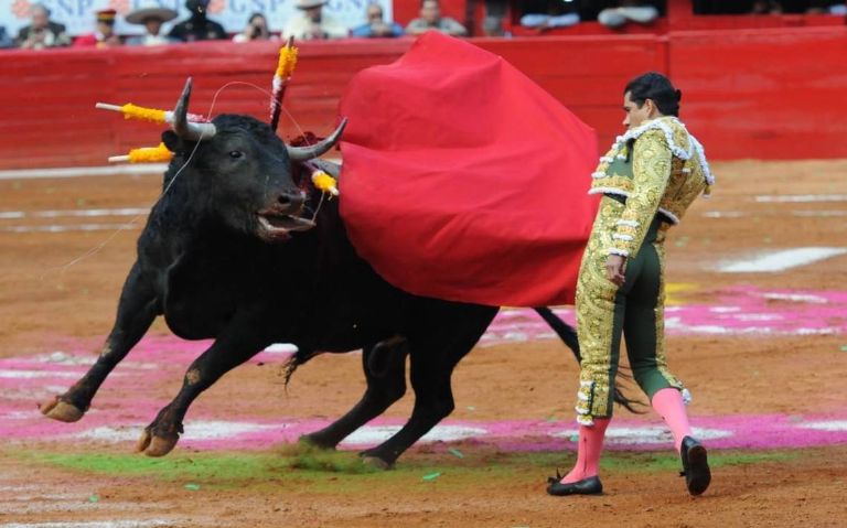 Plaza México continuará con corridas de toros; jueza niega suspensión definitiva