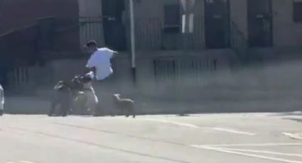 Policías abren fuego contra pitbulls tras un salvaje ataque a un hombre en Filadelfia