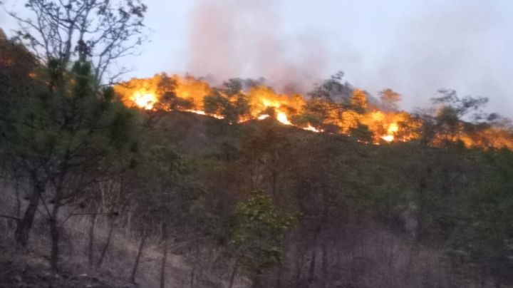 Nuevo incendio forestal azota al Estado de México; brigadistas trabajan en la sierra