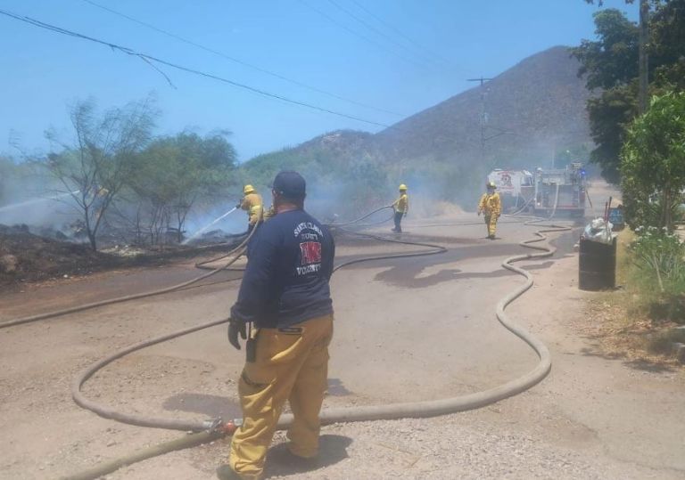 Todos los días Guaymas sufre incendios debido a la maleza seca