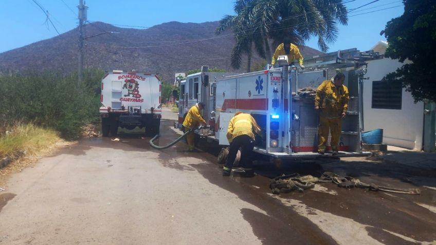 En Guaymas ocurren de cinco a 10 incendios forestales diarios; piden prevenirlos