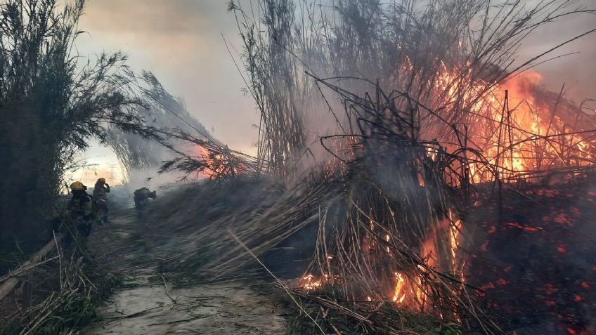 El Estado de México arde entre incendios forestales; la sequía no ayuda