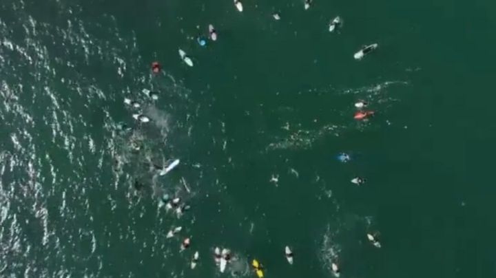 Emotiva ceremonia: Surfistas rinden homenaje a turistas asesinados en Ensenada