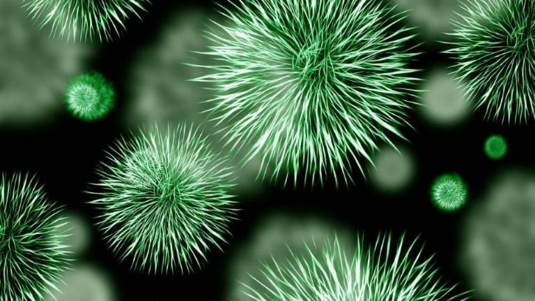 Científicos chinos crean nuevo virus con el ébola