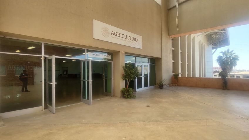 Sader nacional no atiende al llamado de productores sonorenses