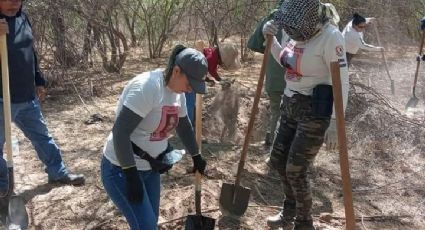 Sonora: Revelan 84 casos de personas desaparecidas, 17.8% más que en 2023