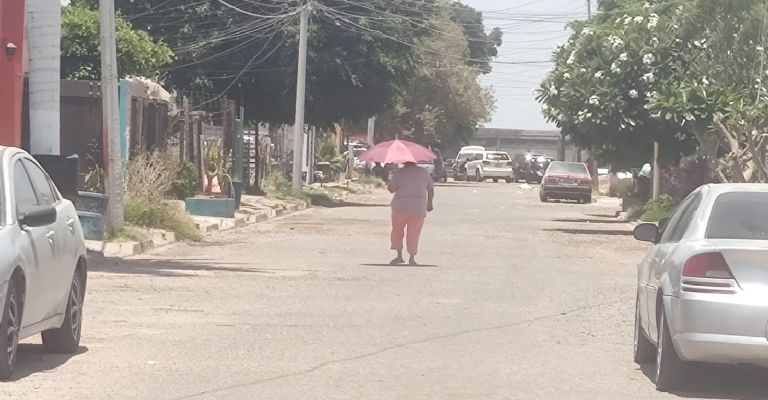 Universidad Tecmilenio campus Ciudad Obregón realiza segunda Sesión de Consejo Empresarial
