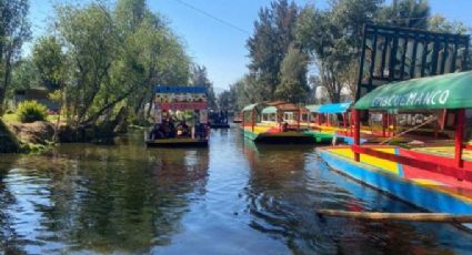 Conductor choca e intenta huir: Cae a canal de Xochimilco y provoca muerte de dos personas