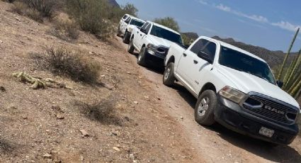 Sonora, una fosa clandestina inmensa: Rastreadoras Caborca localizan restos humanos