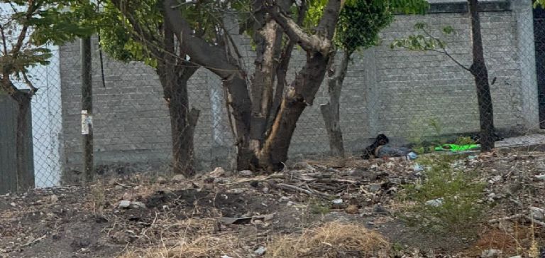 Abandonan restos humanos en Jiutepec