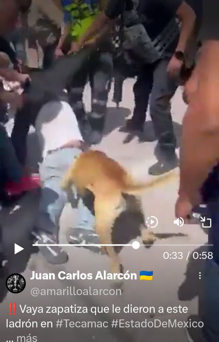 Perro también ayuda a vecinos a darle paliza a delincuente