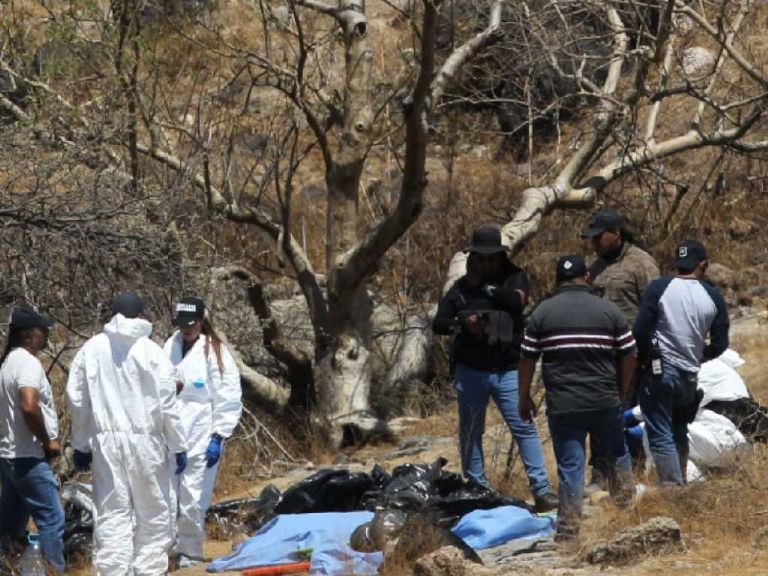 Colectivos hallaron restos óseos de 16 personas