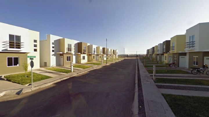 Solo cinco de cada 10 calles en Navojoa cuenta con algún árbol, según Inegi