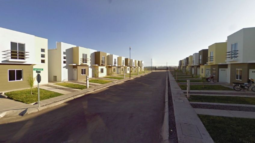 Solo cinco de cada 10 calles en Navojoa cuenta con algún árbol, según Inegi