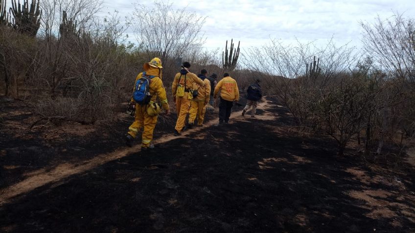 Sur de Sonora registra 21 incendios forestales en lo que va de este 2024