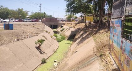 Ciudad Obregón: ‘Coqueros’ urgen limpieza del dren de la Laguna del Náinari