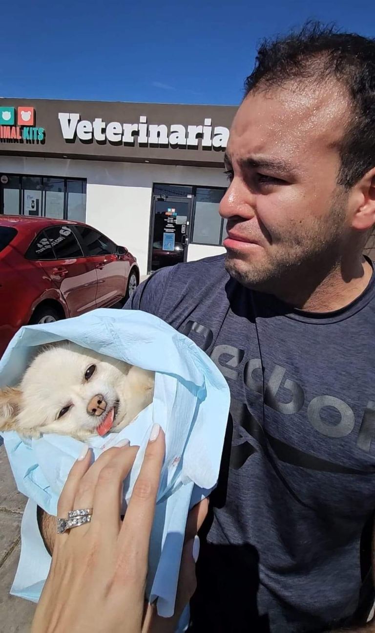 A Gilberto Genaro le mataron a su perrita