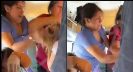 Mujeres pelean dentro de una combi de Morelia y son captadas en VIDEO; el hecho se viraliza