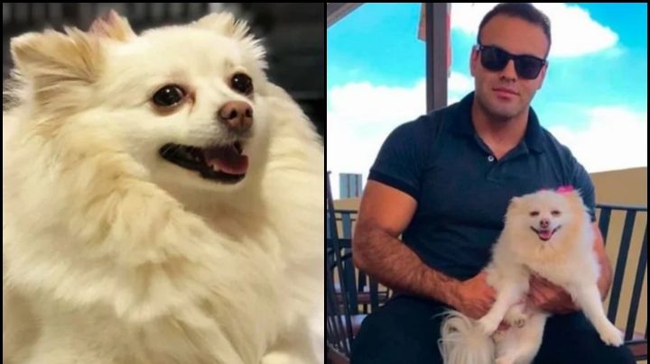 Hermosillo: Sigue la investigación de la muerte de 'Channel'; filtran la causa de defunción