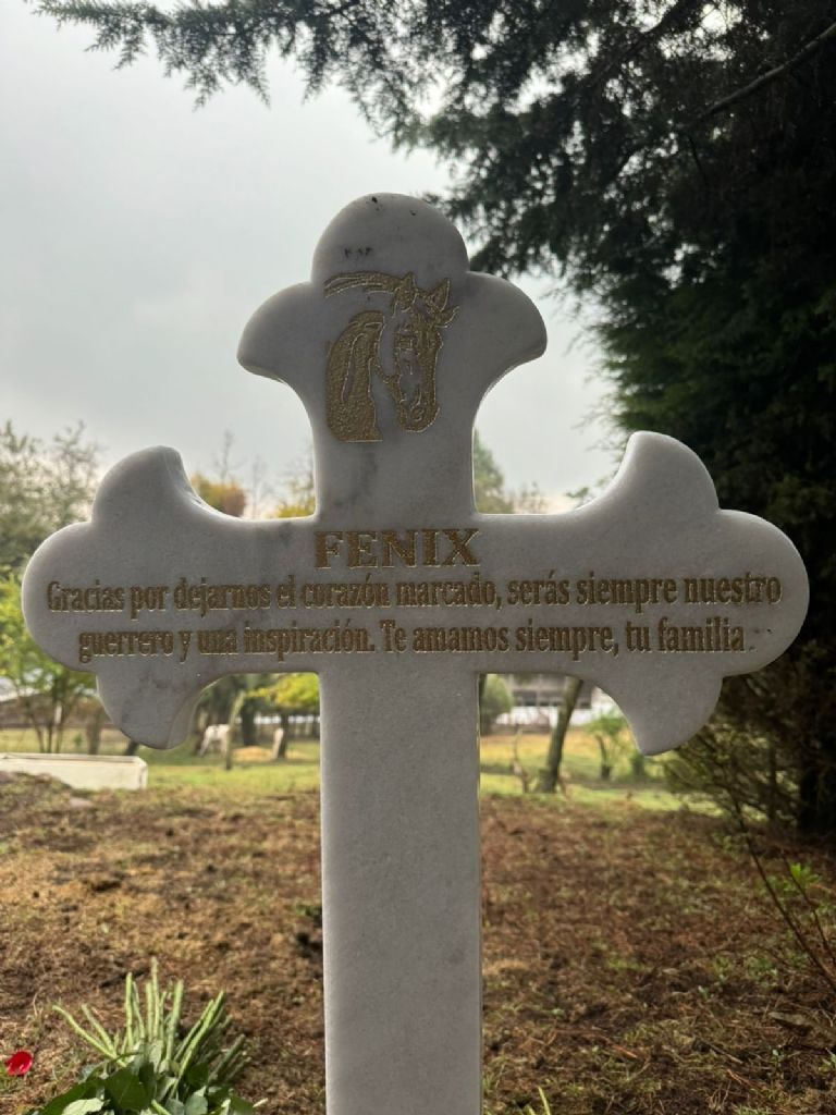 Fénix falleció el 27 de junio debido a las quemaduras profundas en el 45 por ciento de su piel