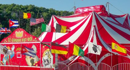 FOTO: Osa ataca a su entrenador en pleno show de circo en Rusia; el sujeto sobrevive