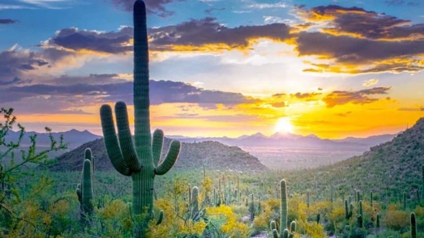 Clima en Sonora 5 de junio 2024: Conagua advierte cielo nublado, sin lluvia y día caluroso