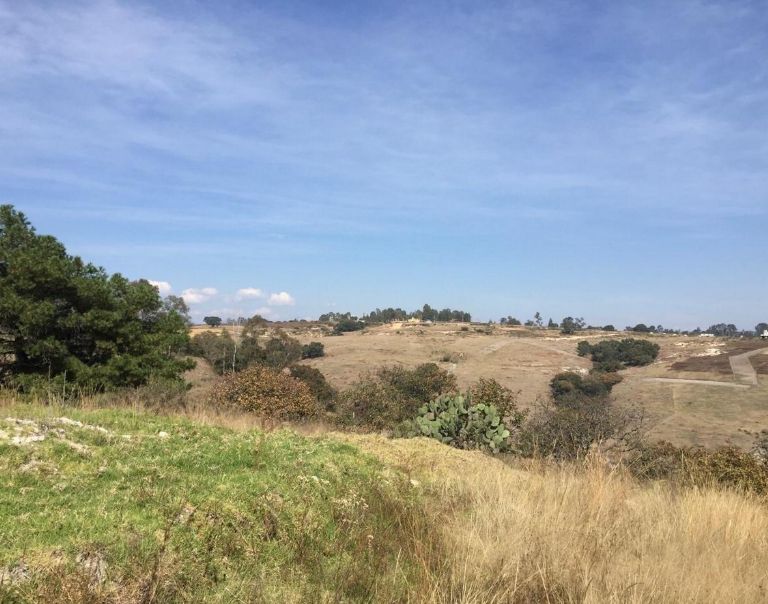 Hallan restos humanos en terreno baldío de Jilotepec