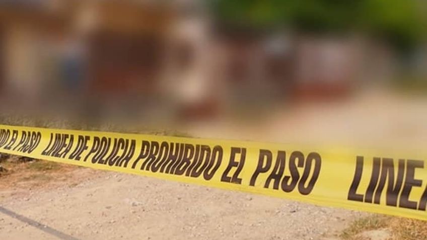 Terrible: Desaparece el activista ambiental Álvaro Alcahuter Villa en Michoacán