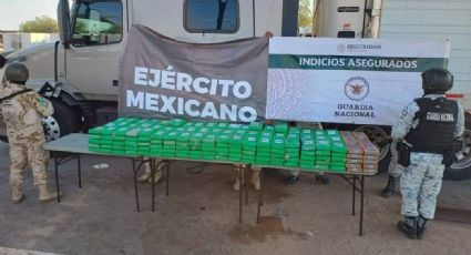 Dan duro golpe al narco en Sonora: Cae presunto sicario con más de 300 envoltorios de droga