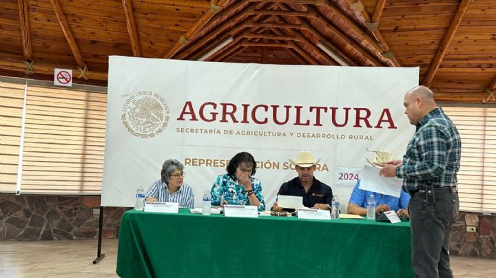 Productores del sur de Sonora sumarán otro mes sin apoyo para trigo; entregan pliego petitorio