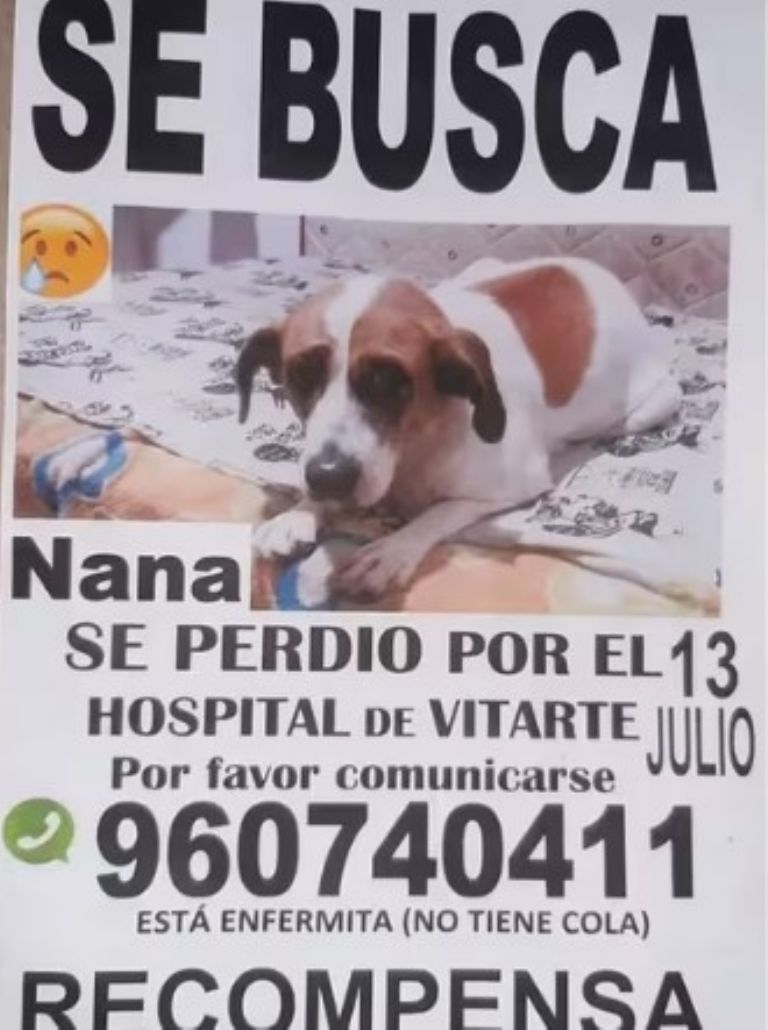 Nana desapareció el pasado 13 de julio