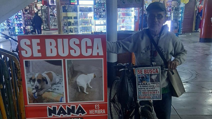Hombre busca a su perrita perdida desde hace un año; conoce su historia