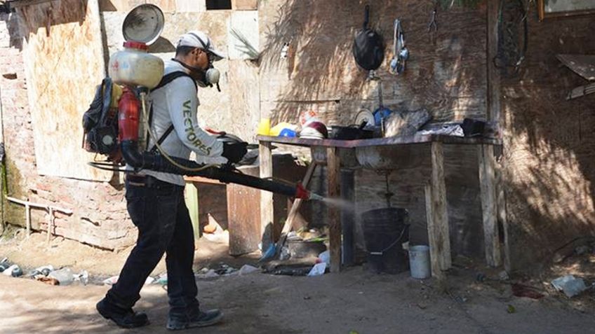 Alerta en colonias en Guaymas por alta presencia de zancudos; aumenta riesgo con lluvias