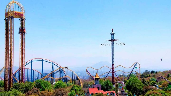 Vecinos en Tlalpan reprueban consulta que permitiría a Six Flags talar 150 árboles