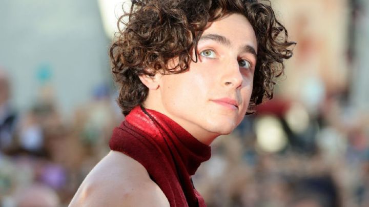Timothée Chalamet protagonizará una nueva película biográfica; esto se sabe