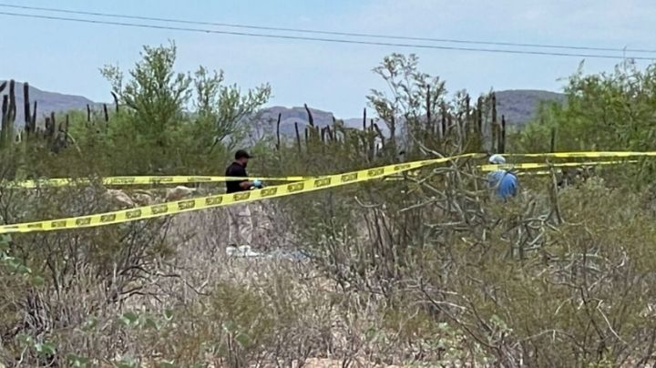 FOTOS: Localizan cinco fosas clandestinas con restos humanos y ropa en el sur de Sonora
