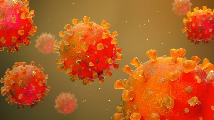 Covid-19: Estos son los síntomas de la cepa KP.3 que afecta a niños en CDMX