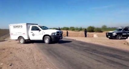 Localizan a hombre sin vida en predio agrícola de Bácum; habría sido asesinado a tiros