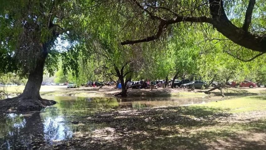 ¿Qué hacer en Ciudad Obregón? Así con los paseos campestres de la presa Oviáchic