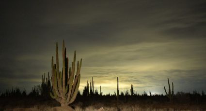 Clima en Hermosillo HOY 25 de julio 2024: Advierten chubascos y temperaturas de hasta 45°C