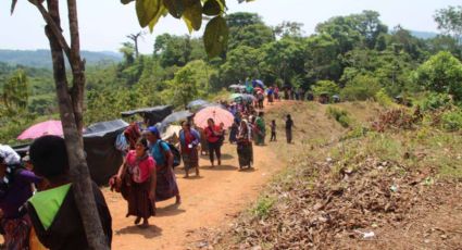 Guatemala enfrenta desplazamiento de mexicanos por violencia en Chiapas