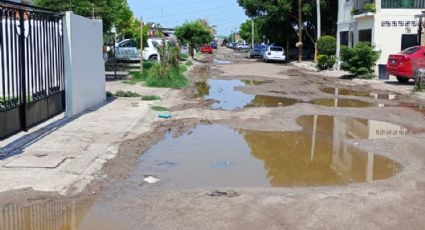 Vecinos del fraccionamiento Laureles en Navojoa, viven entre aguas negras